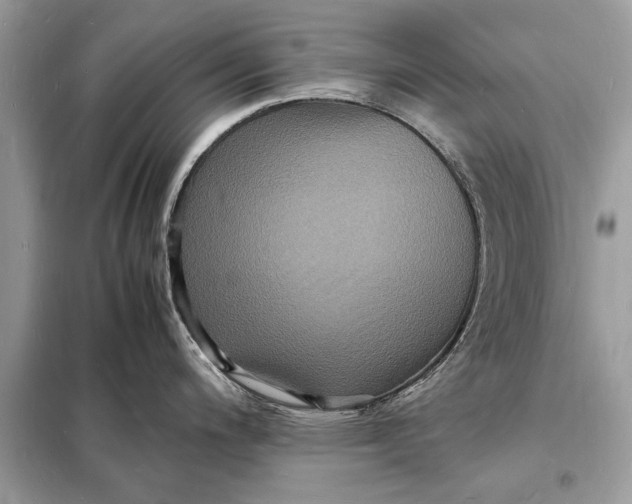 X0000098181200200805081017