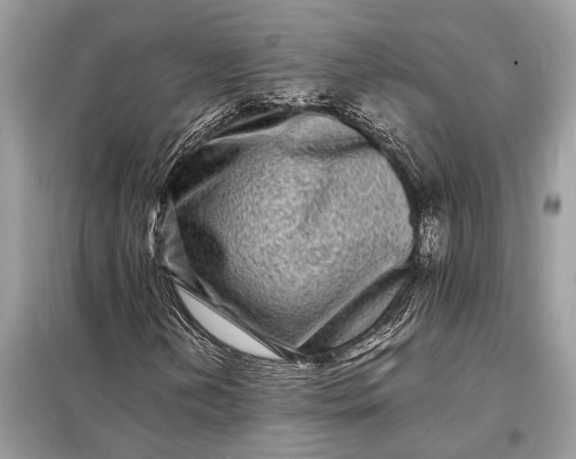 X0000098181202200805081016