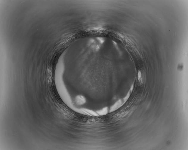 X0000098181203200805081016