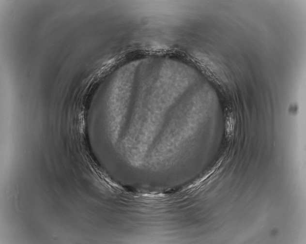 X0000098181204200805081016