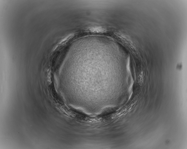 X0000098181205200805081016