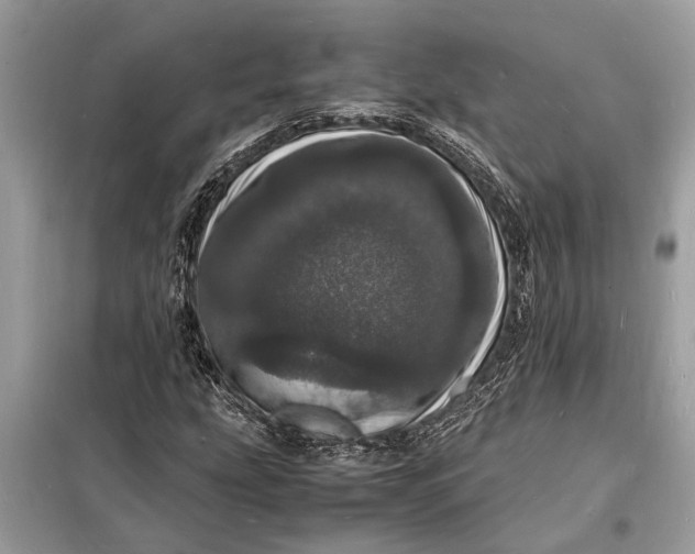 X0000098181207200805081016