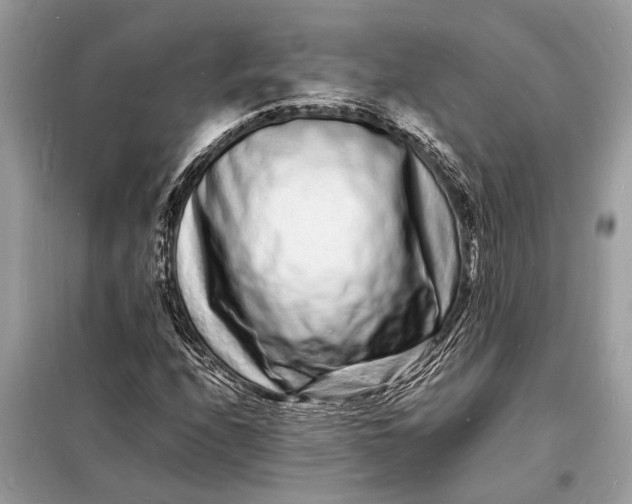 X0000098181208200805081016