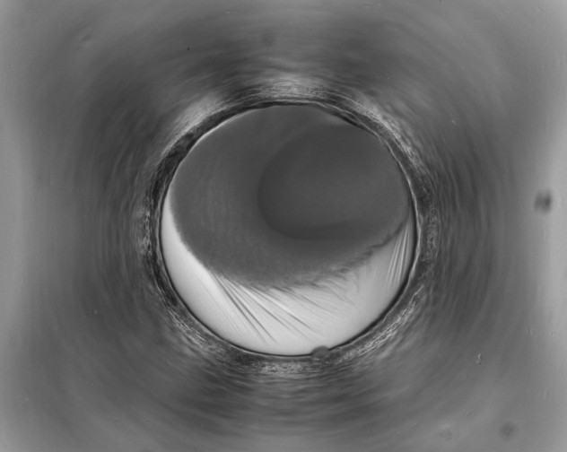 X0000098181211200805081016