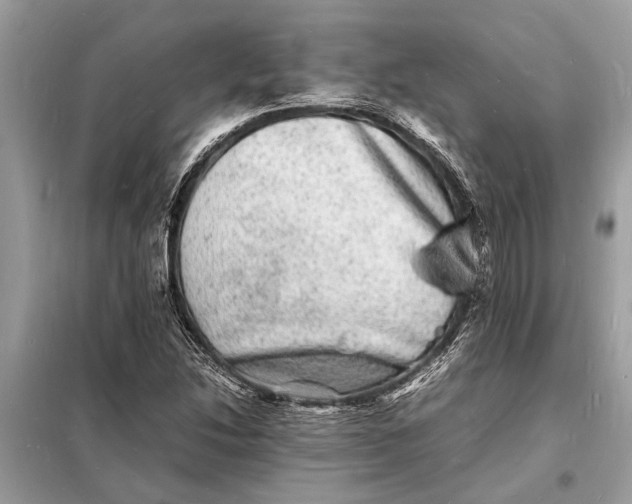 X0000098181214200805081016