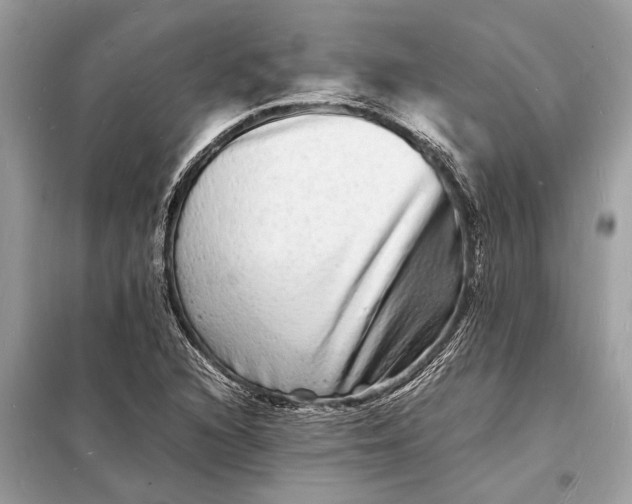 X0000098181216200805081017