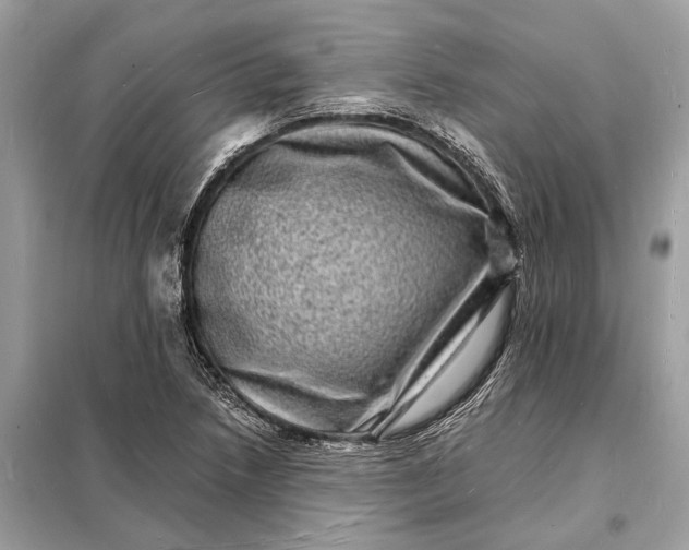 X0000098181218200805081017