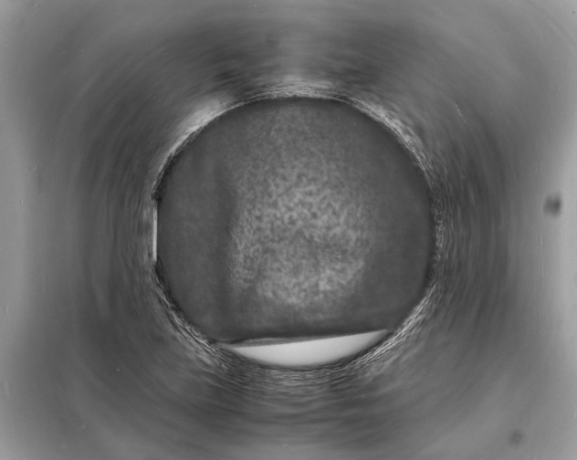 X0000098181219200805081017