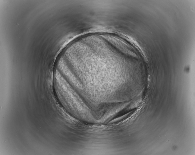 X0000098181220200805081017