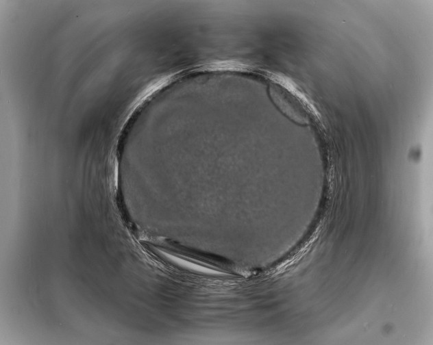 X0000098181221200805081017