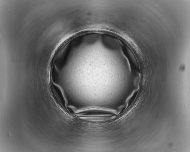 X0000098181224200805081017