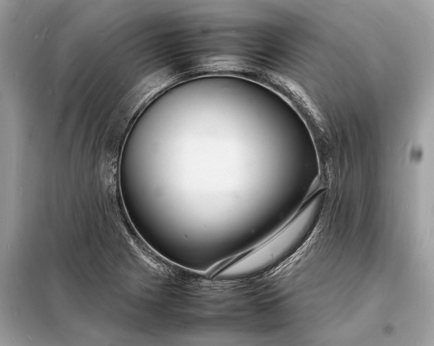 X0000098181225200805081017