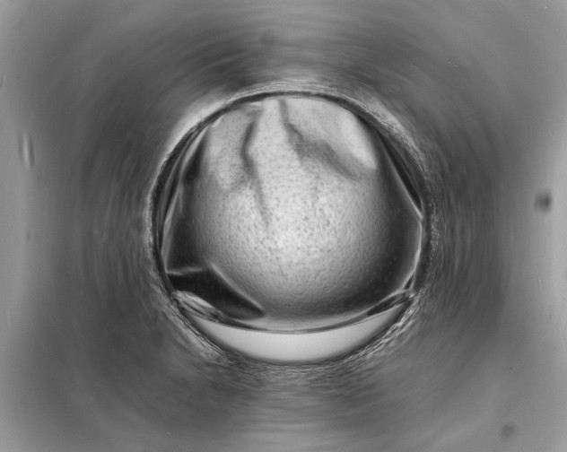 X0000098181230200805081017