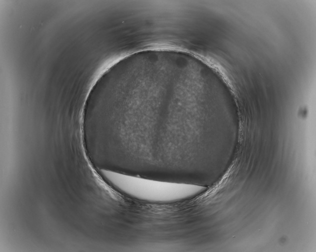 X0000098181231200805081017