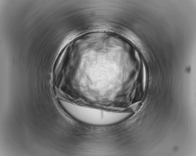 X0000098181234200805081017