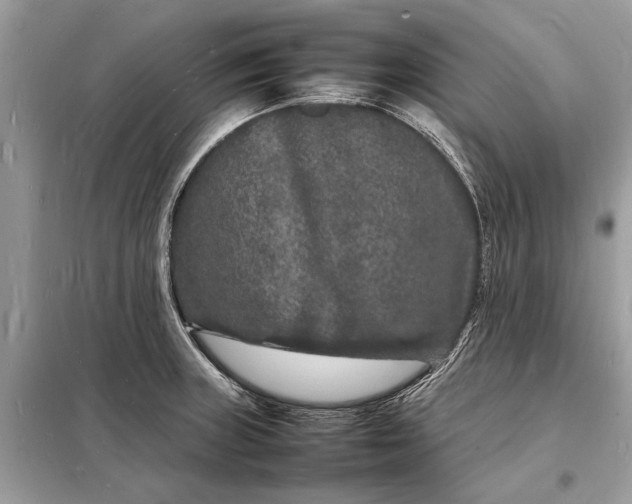 X0000098181235200805081017