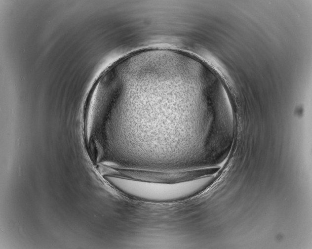 X0000098181240200805081017