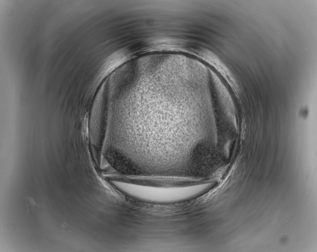 X0000098181241200805081017