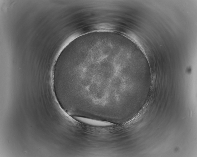 X0000098181243200805081017