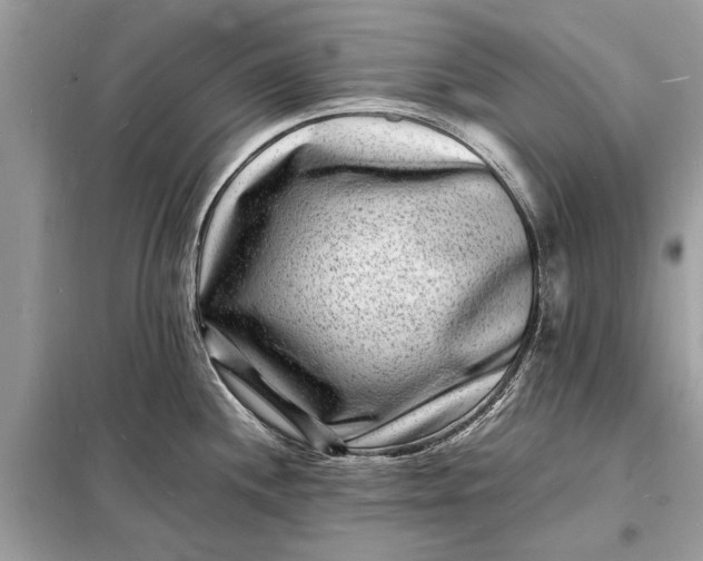 X0000098181244200805081017