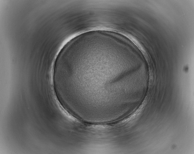 X0000098181246200805081017