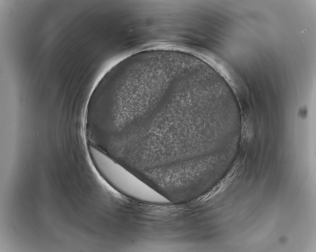 X0000098181247200805081017