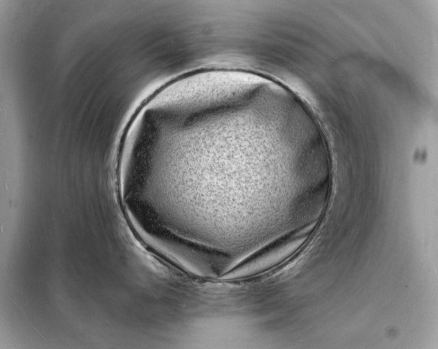 X0000098181248200805081017