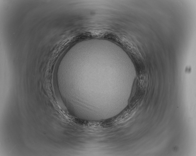 X0000098181249200805081016