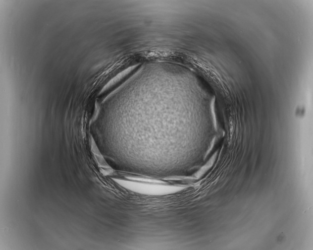 X0000098181250200805081016