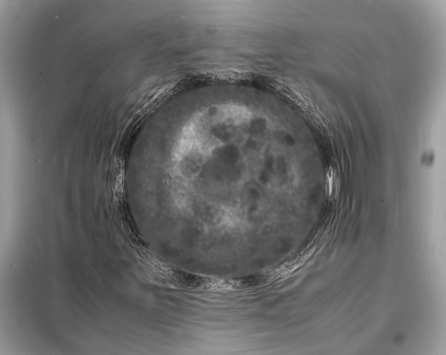 X0000098181251200805081016