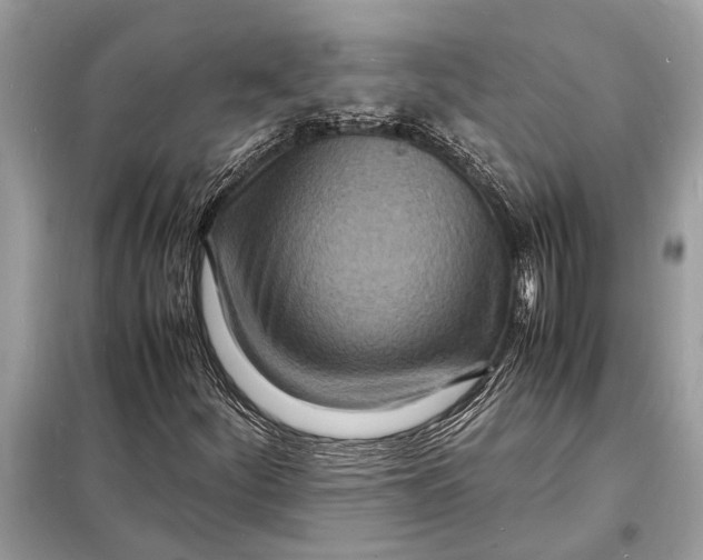 X0000098181252200805081016