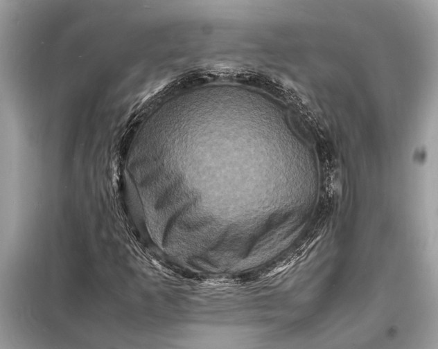 X0000098181253200805081016