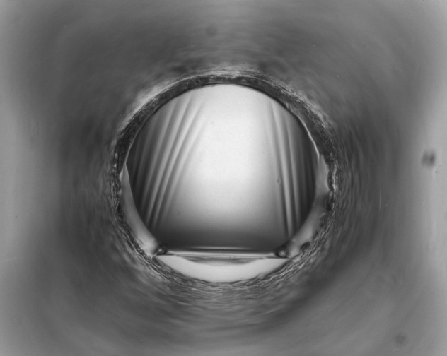 X0000098181256200805081016