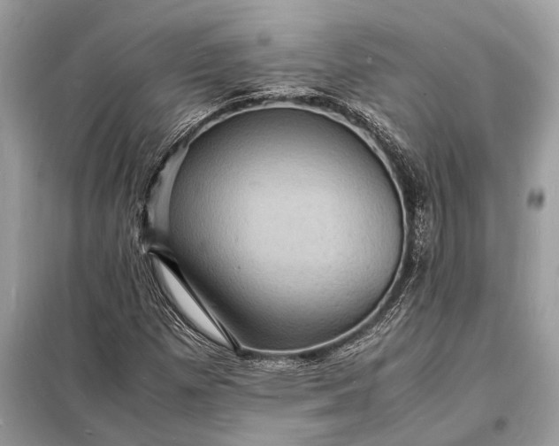 X0000098181257200805081016