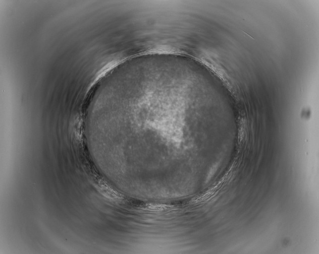 X0000098181258200805081016