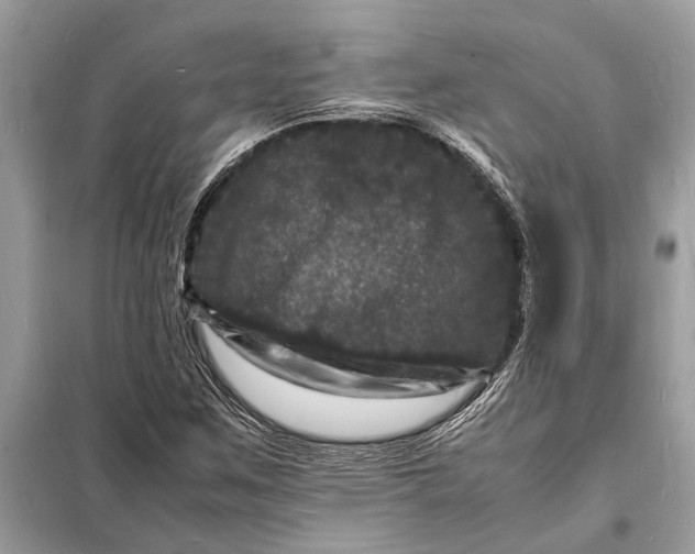 X0000098181259200805081016