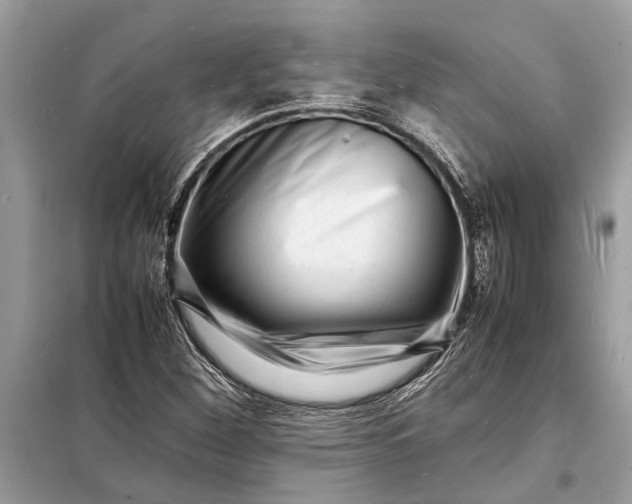 X0000098181260200805081016