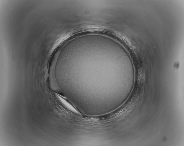 X0000098181261200805081016