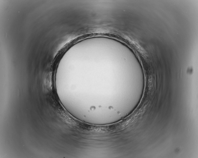 X0000098181262200805081016