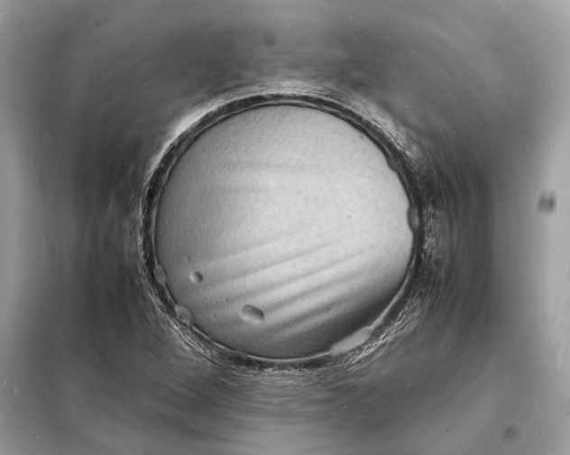 X0000098181264200805081016