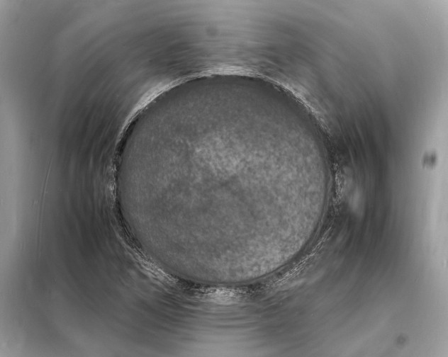 X0000098181266200805081016