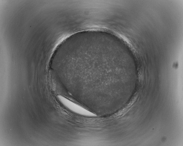 X0000098181267200805081016