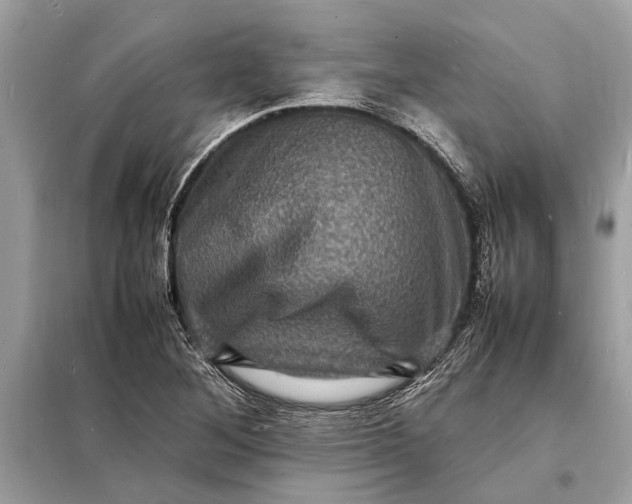 X0000098181268200805081016