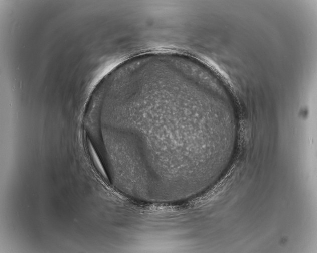 X0000098181269200805081016