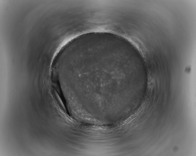 X0000098181270200805081016