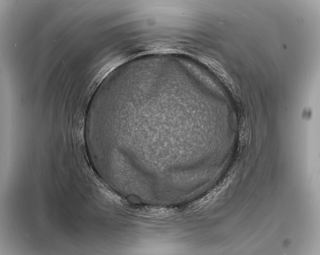 X0000098181273200805081016