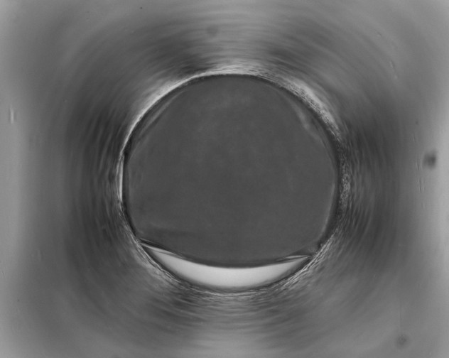 X0000098181276200805081016