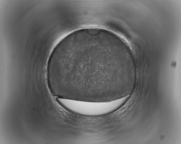 X0000098181279200805081016