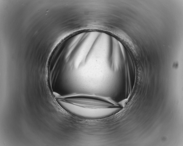 X0000098181280200805081016