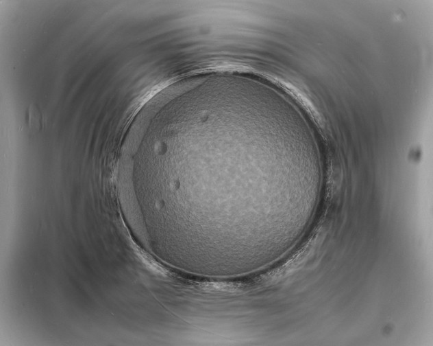 X0000098181281200805081016